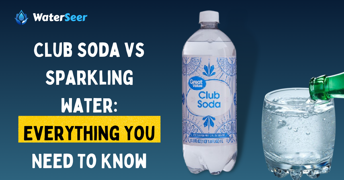 club soda vs sparkling water