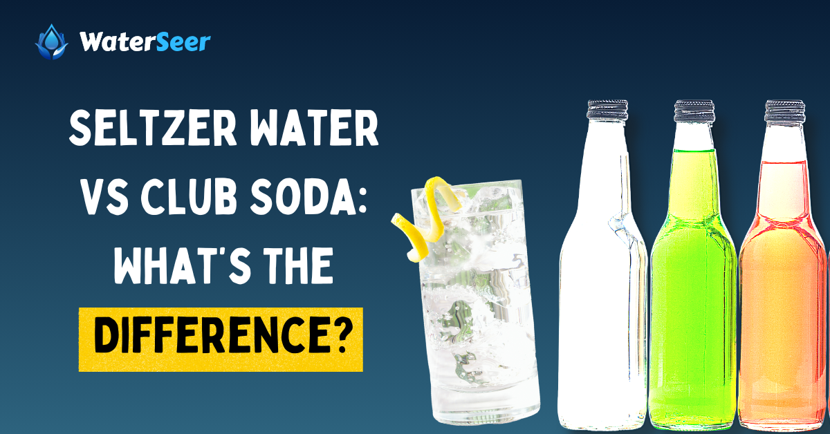 seltzer water vs club soda