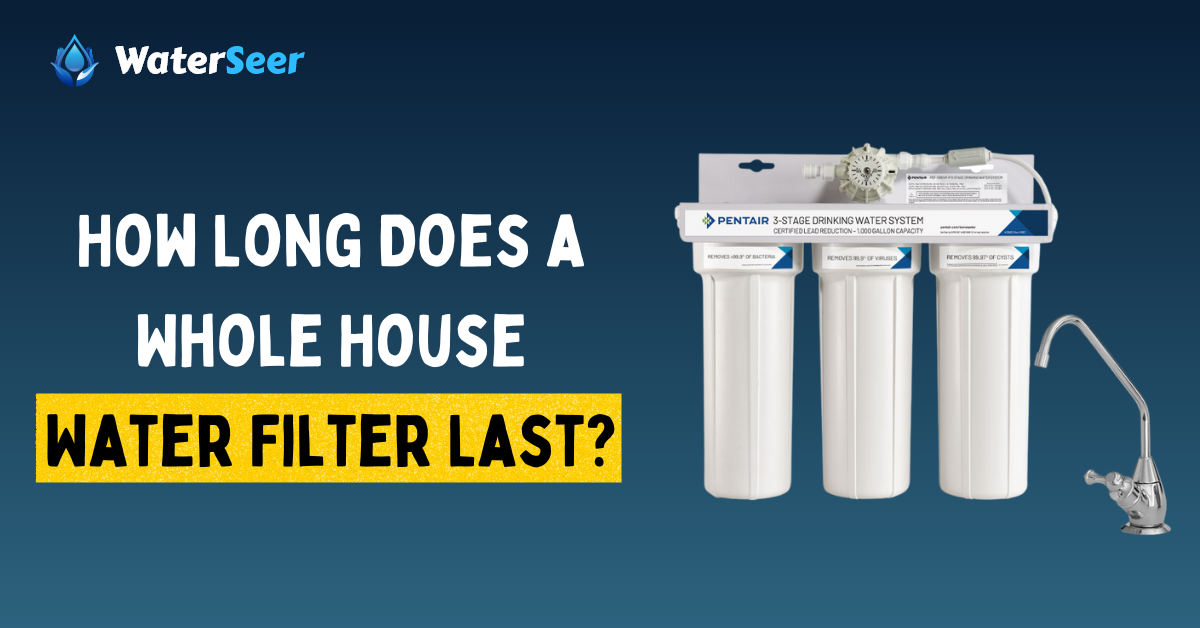 how long does a whole house water filter last